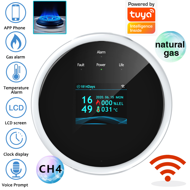Smart Home Ecosystems - 2.4G WiFi Gas Alarm Sensor Combustible