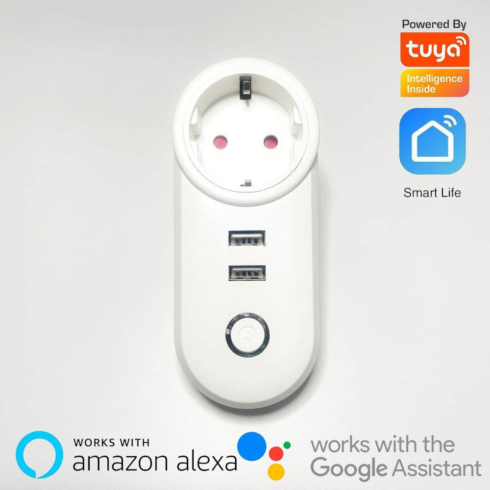 1Pcs 2.4G WIFI Power Plug With - Smart Home Energy Management recension och pris