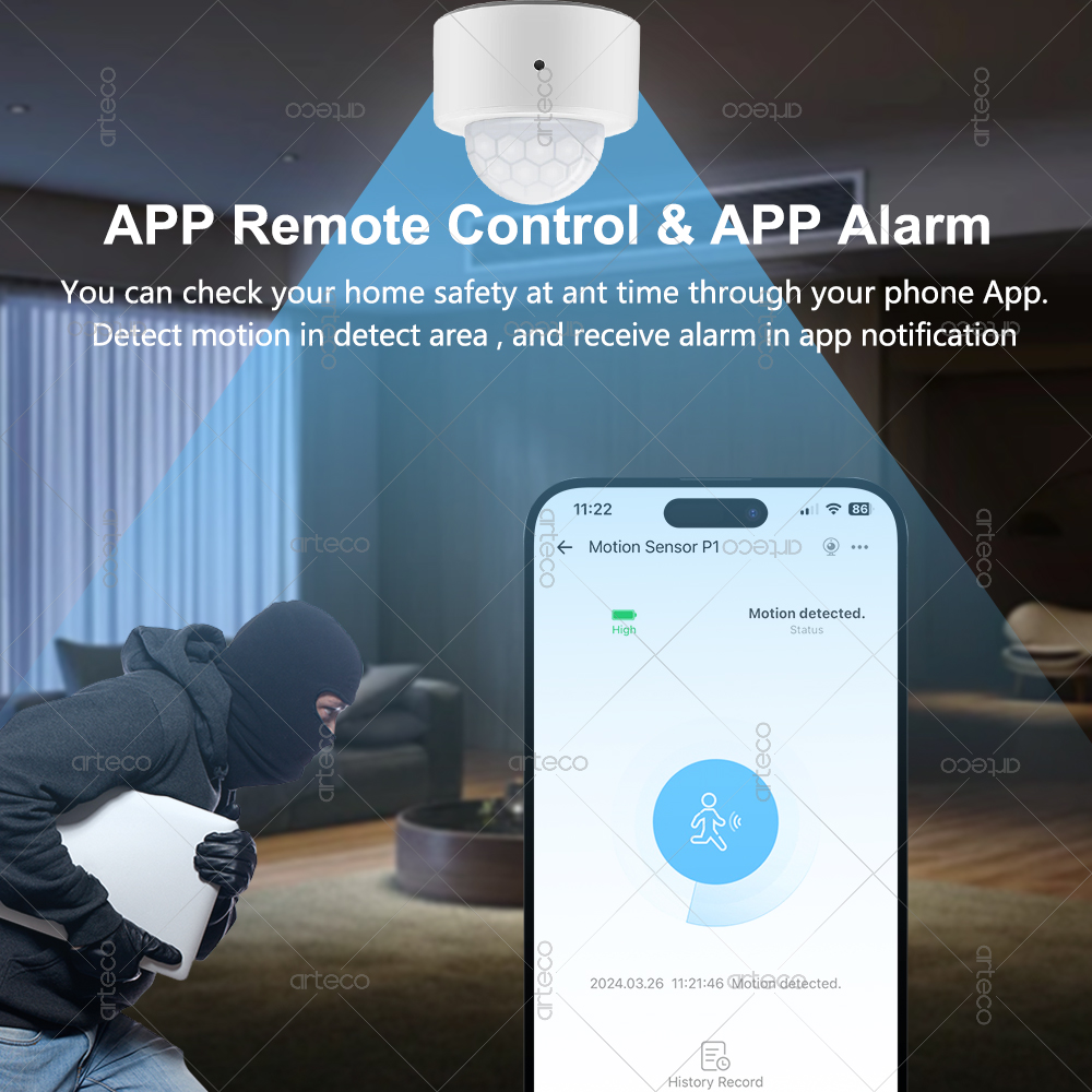 Ewelink Zigbee PIR Motion Sens - Smart Home Bridge recension och pris