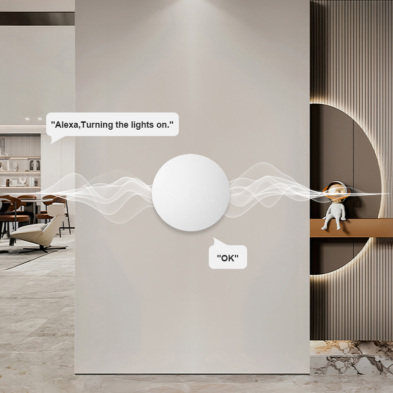 ZigBee Smart Wireless Button S - Smart Home Z Wave recension och pris