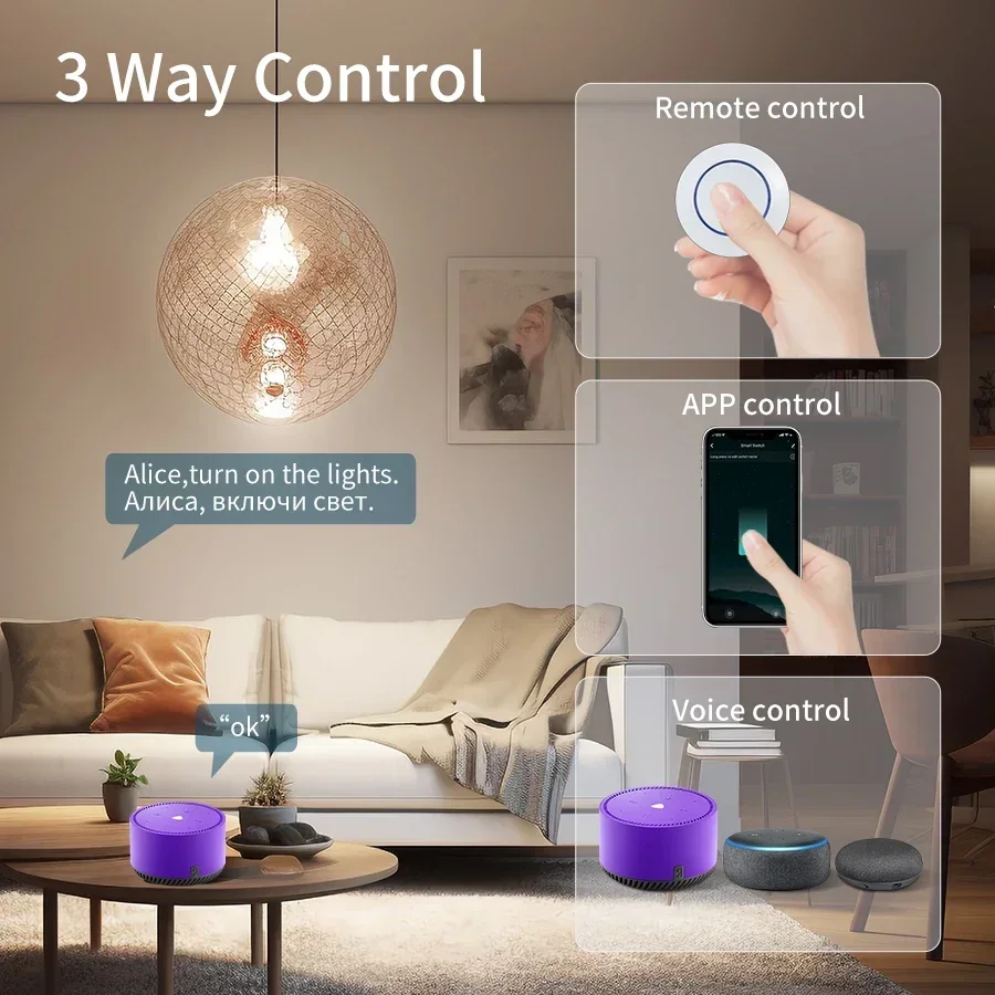 Tuya Wifi Smart Switch RF 433M - Alexa Compatible Bulb recension och pris