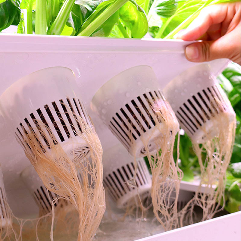 ydroponic Planting System Smar - Smart Home Ac recension och pris