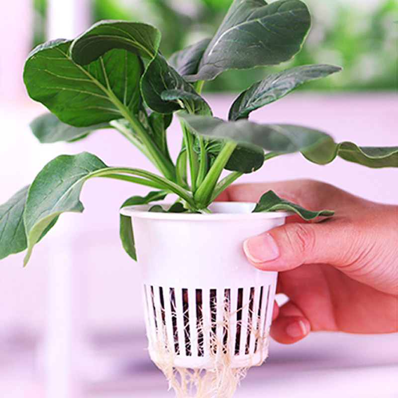 ydroponic Planting System Smar - Smart Home Ac recension och pris