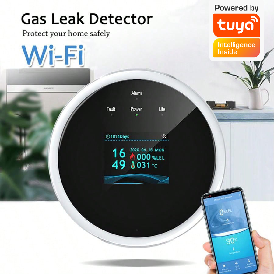 2.4G WiFi Gas Alarm Sensor Com - Smart Home Ecosystems recension och pris